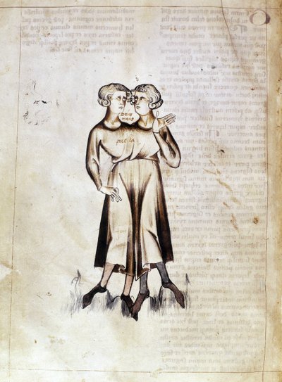 Sloane 3983 f.8v 双子座图，摘自 Jafar ibn Muhammad 翻译的波斯占星学论文（牛皮纸）。 作者 荷兰语学校