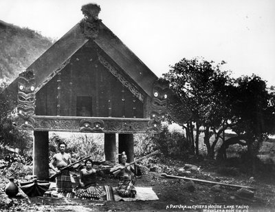 Patuka或Chiefs House，新西兰陶波湖，c.1863-80 作者 新西兰摄影师