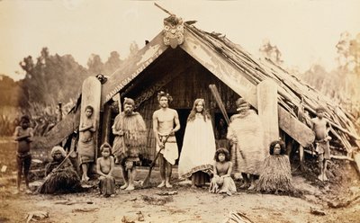 毛利人家庭，新西兰，1880年代（蛋白印刷品） 作者 新西兰摄影师