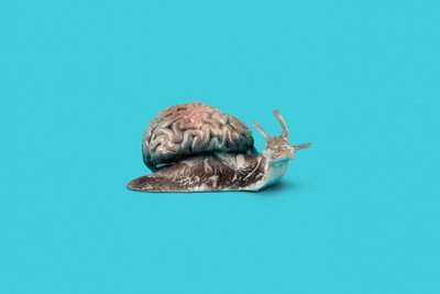 慢慢来，2020（照片） 作者 尼科洛·菲奥里蒂