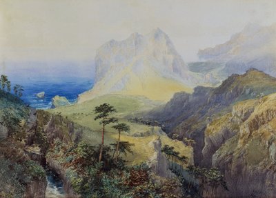 沿海景区 作者 尼古拉斯·谢瓦利埃（Nicholas Chevalier）