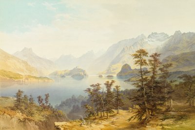马纳普利湖，南岛，新西兰 作者 尼古拉斯·谢瓦利埃（Nicholas Chevalier）