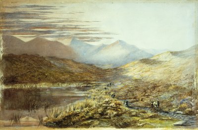 新西兰普卡基湖，1872年 作者 尼古拉斯·谢瓦利埃（Nicholas Chevalier）