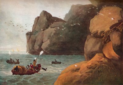 海雀射击》，约1806年 作者 尼科尔斯和笔记