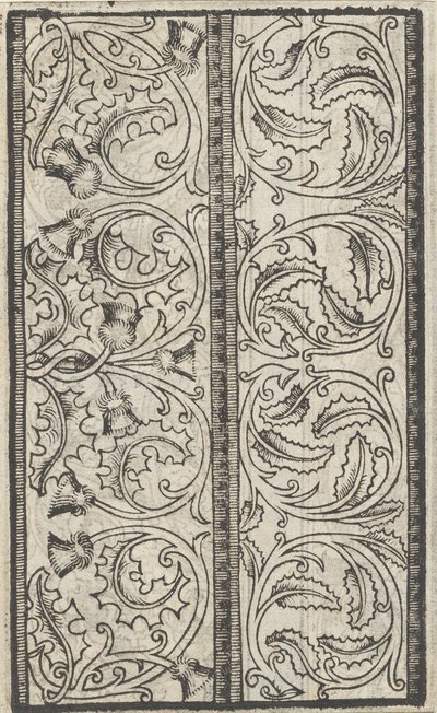 作品标本，第4页直页，1529年8月。，1529年8月。 作者 尼可洛·佐皮诺