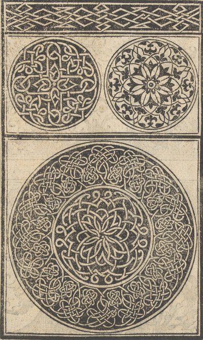 作品样本，第5页直页，1529年8月。，1529年8月。 作者 尼可洛·佐皮诺