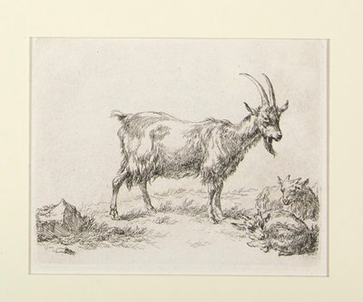 6 幅蚀刻版画来自 作者 尼古拉斯·伯赫姆