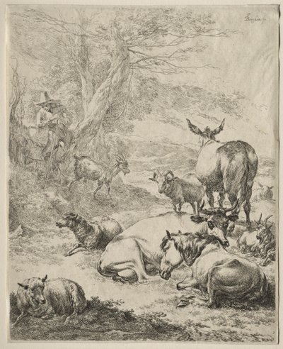 歇息中的动物。 作者 尼古拉斯·彼得斯（Nicolaes Pietersz）。 Berchem