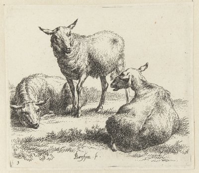 Drie schapen
Schapen （系列名称）
Animalia ad vivum delineata et aqua forti aeri impressa Studio et Arte Nicolai Berchemi（系列标题） 作者 西奥多·马瑟姆