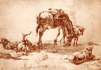 牧场与驴，山羊和绵羊 作者 尼古拉斯·彼得斯（Nicolaes Pietersz）。 Berchem