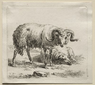 公羊和绵羊。 作者 尼古拉斯·彼得斯（Nicolaes Pietersz）。 Berchem