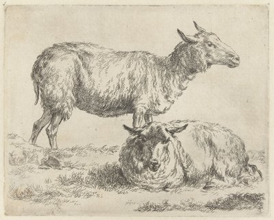 Staand en liggend schaap
Schapen （系列名称）
Animalia ad vivum delineata et aqua forti aeri impressa Studio et Arte Nicolai Berchemi（系列标题） 作者 尼古拉斯·彼得斯·贝尔赫姆