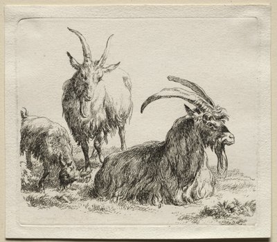 三只山羊。 作者 尼古拉斯·彼得斯（Nicolaes Pietersz）。 Berchem