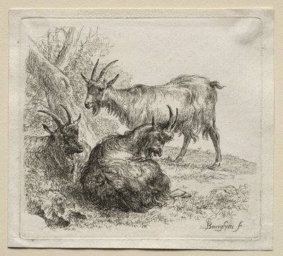 三只山羊。 作者 尼古拉斯·彼得斯（Nicolaes Pietersz）。 Berchem