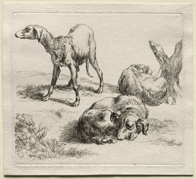 三只猎犬。 作者 尼古拉斯·彼得斯（Nicolaes Pietersz）。 Berchem