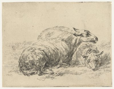 两本书
Schapen （系列名称）
Animalia ad vivum delineata et aqua forti aeri impressa Studio et Arte Nicolai Berchemi（系列标题） 作者 尼古拉斯·彼得斯·贝尔赫姆