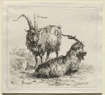 两只山羊。 作者 尼古拉斯·彼得斯（Nicolaes Pietersz）。 Berchem