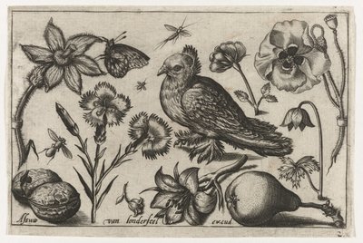 花、梨和鸽子
鸟、花、昆虫等(系列名称） 作者 尼古拉斯·德布鲁因（可能）