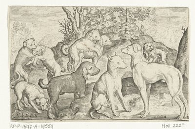 九只狗
Animalivm qvadrvpedvm（系列名称）
风景中的动物（系列名称） 作者 克拉斯·扬斯。维舍尔 (II)