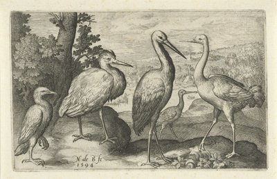 鹳、鹤、苍鹭和琵鹭
鸟类和昆虫（系列名称） 作者 Francoys van Beusekom