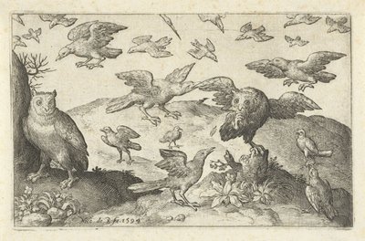 猫头鹰与被其他鸟类攻击的猎物
鸟类和昆虫（系列名称） 作者 Francoys van Beusekom