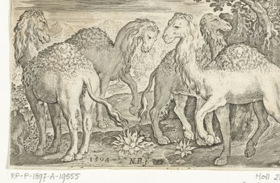 四只单峰驼
Animalivm qvadrvpedvm（系列名称）
风景中的动物（系列名称） 作者 尼古拉斯·德·布鲁因