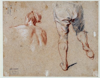 解剖学研究 Nicolas Vleughels (1668-1737) 18 世纪巴黎卢浮宫博物馆的油画 作者 尼古拉斯·维勒格尔斯