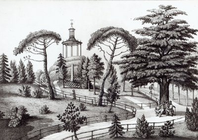 巴黎Jardin des Plantes的迷宫，由Francois Aubertin雕刻（177383-1821） 作者 尼古拉斯·尼古拉