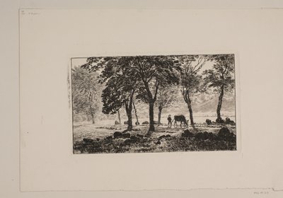 Alléen 作者 尼尔斯·斯科夫加德
