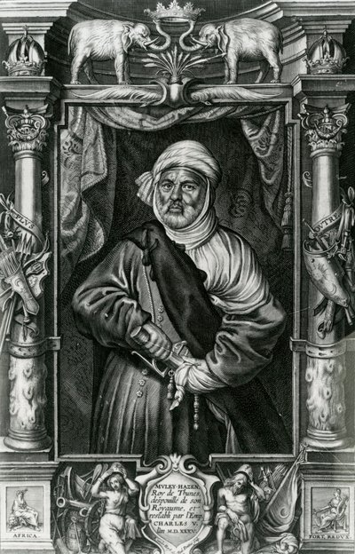 Abu l-Hasan Ali，也叫MuleyHacén，1535 作者 尼古拉斯·范德·霍斯特