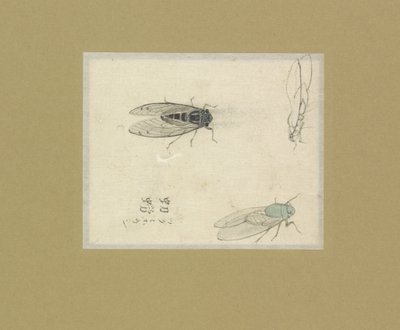 三项飞行研究 作者 野野山光山（可能）