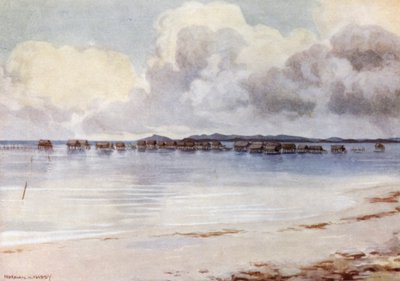 Marine Village, Tupusuli, British New Guinea (colour litho) 作者 诺曼·哈迪