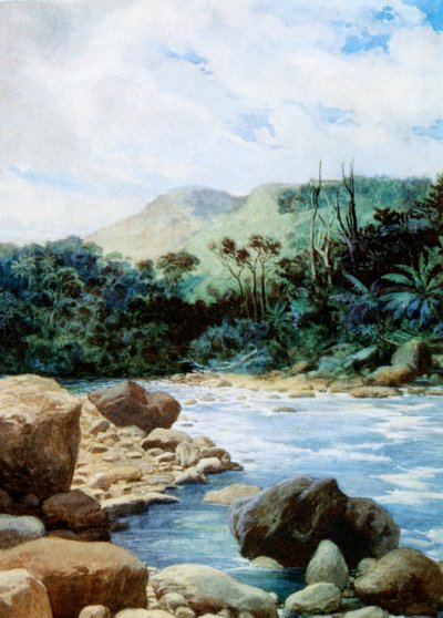 1908年新赫布里底群岛伊罗曼加的风景 作者 诺曼·哈迪