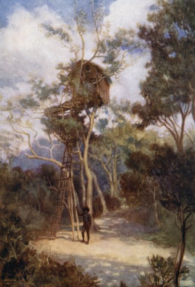 Tree House in British New Guinea (colour litho) 作者 诺曼·哈迪
