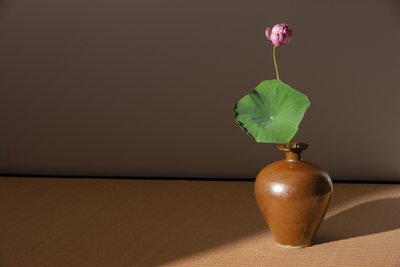 柿子釉的美萍 作者 北宋中文学校