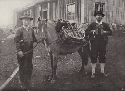 Saetersdalen Highlanders与Pack-Horse 作者 挪威摄影师