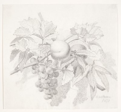 葡萄和桃子 作者 OD奥特森