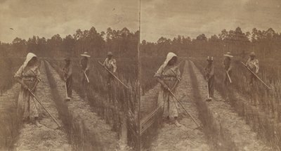 锄禾日当午，1876-1888。 作者 O.皮埃尔·哈文斯