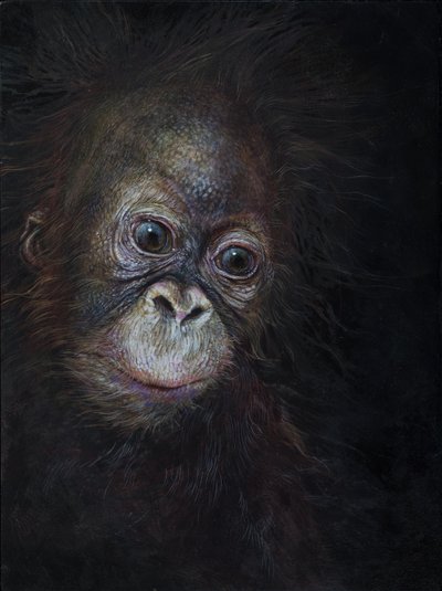 猩猩宝宝 3，2015 年（木板上的丙烯颜料） 作者 奥迪尔·基德