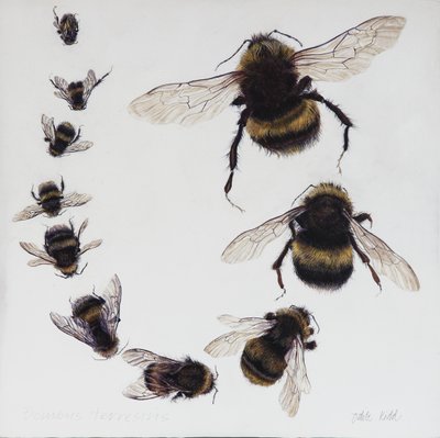 Bombus，2015（石膏木板上的丙烯颜料） 作者 奥迪尔·基德