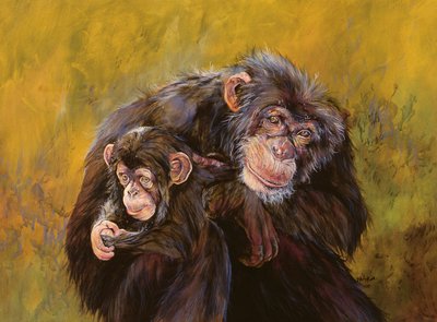 黑猩猩（丙烯酸画布） 作者 奥迪尔·基德