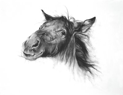 驹，2002 年（法布里亚诺纸上的木炭画） 作者 奥迪尔·基德