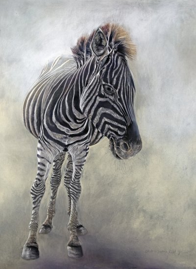 Equus burchelli 1，2009 年（博金福德纸上的木炭、轮廓线和粉笔画） 作者 奥迪尔·基德