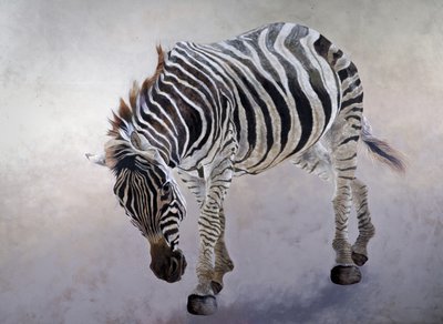 Equus burchelli 2，2010 年（丙烯酸画布） 作者 奥迪尔·基德