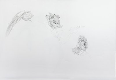 埃斯特拉-里恩维尔德 1，2013 年（铅笔、卡纸） 作者 奥迪尔·基德