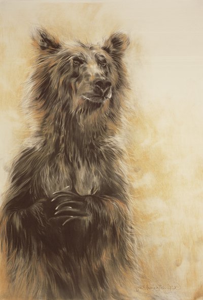 灰熊 1》，2002 年（碳素铅笔、木炭和粉笔） 作者 奥迪尔·基德
