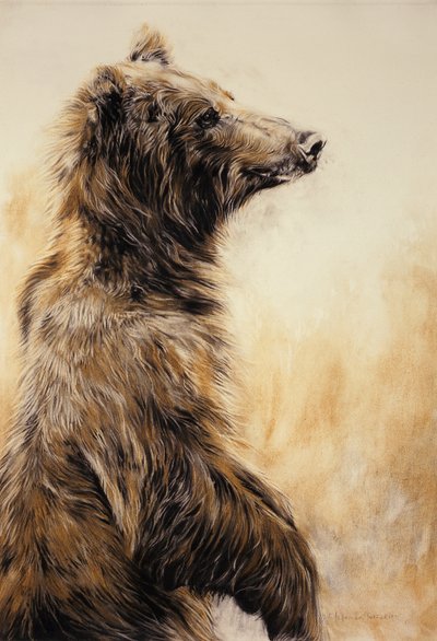 灰熊 2，2002 年（碳素铅笔、木炭和粉笔） 作者 奥迪尔·基德