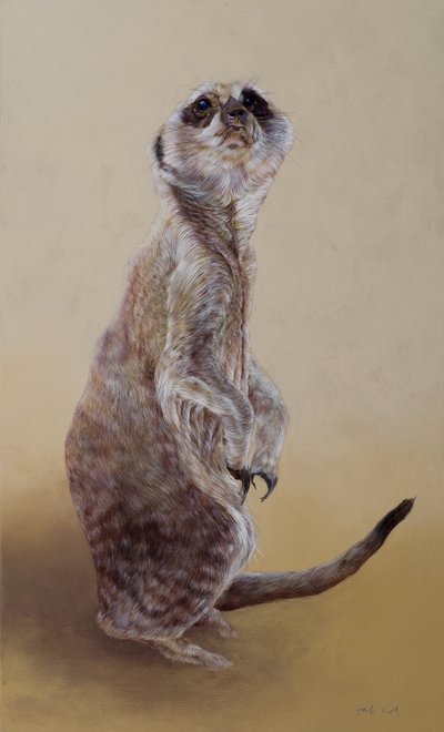 猫鼬 2，2010 年（木板上的丙烯画） 作者 奥迪尔·基德
