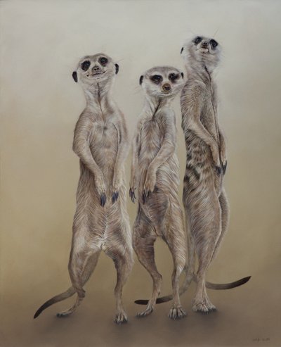 猫鼬，2014 年（石膏木板上的丙烯酸树脂） 作者 奥迪尔·基德