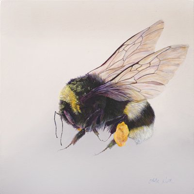 花粉囊 2，2011 年（木板上的丙烯颜料） 作者 奥迪尔·基德